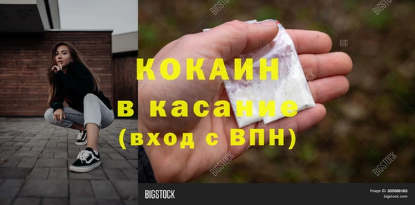 ГАЛЛЮЦИНОГЕННЫЕ ГРИБЫ Дмитриев