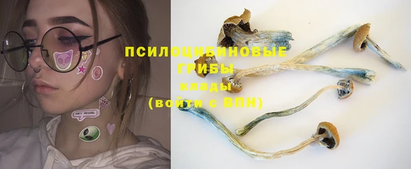 ГАЛЛЮЦИНОГЕННЫЕ ГРИБЫ Дмитриев