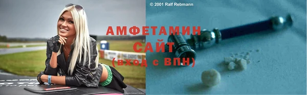 мдпв Гусев
