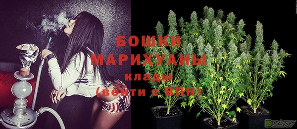 мдпв Гусев