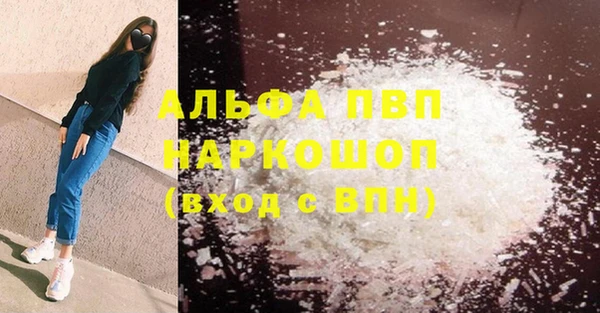 ГАЛЛЮЦИНОГЕННЫЕ ГРИБЫ Дмитриев