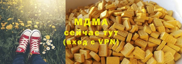 мдпв Гусев