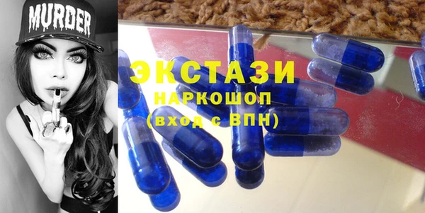 ГАЛЛЮЦИНОГЕННЫЕ ГРИБЫ Дмитриев
