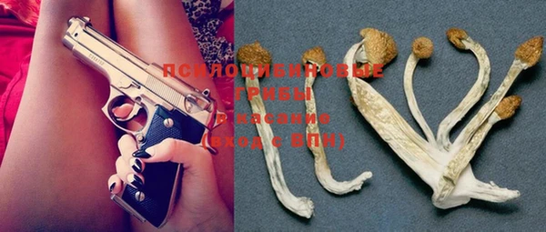 MDMA Гусиноозёрск