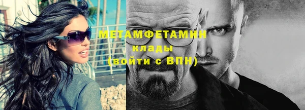ГАЛЛЮЦИНОГЕННЫЕ ГРИБЫ Дмитриев