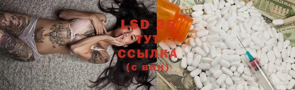ГАЛЛЮЦИНОГЕННЫЕ ГРИБЫ Дмитриев