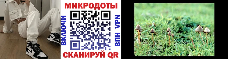 дарнет шоп  Северодвинск  Псилоцибиновые грибы GOLDEN TEACHER 
